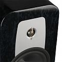 Полочная акустика Aperion Audio Grandis GR6 Blue Opal (пара)