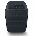 Активная беспроводная акустика Bluesound PULSE FLEX 2i black