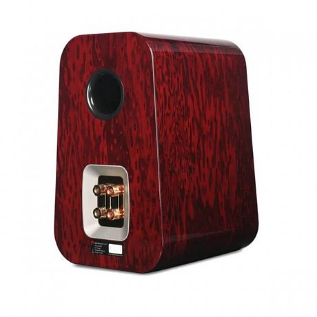 Полочная акустика Aperion Audio Grandis GR6 Rosewood Opal (пара)