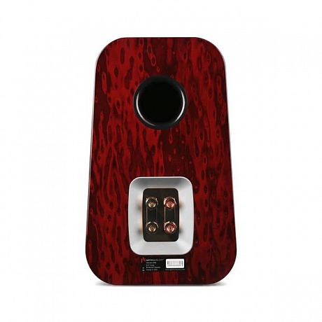 Полочная акустика Aperion Audio Grandis GR6 Rosewood Opal (пара)